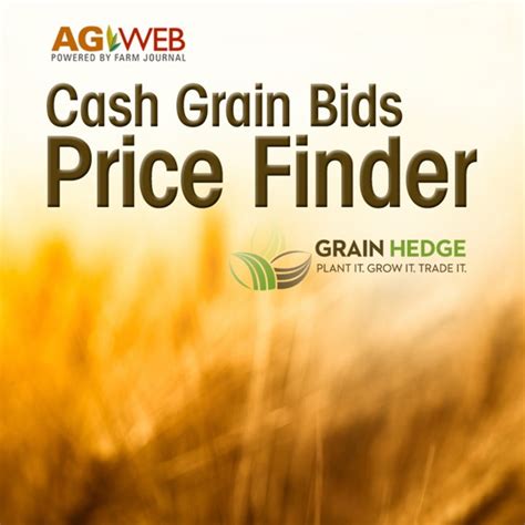 cash grain bids today.